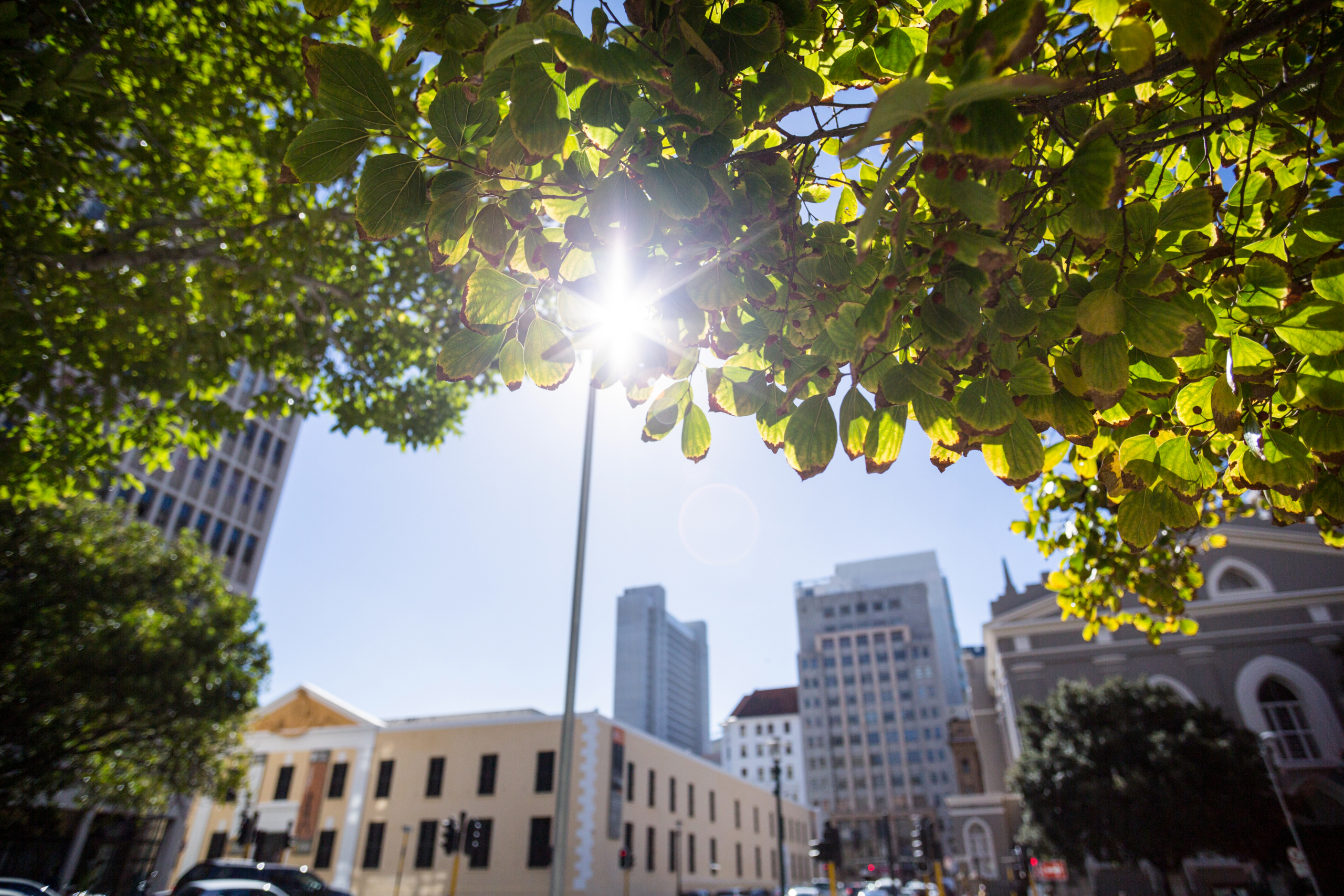 Zonas con mejor conexión de transporte público en Fuenlabrada